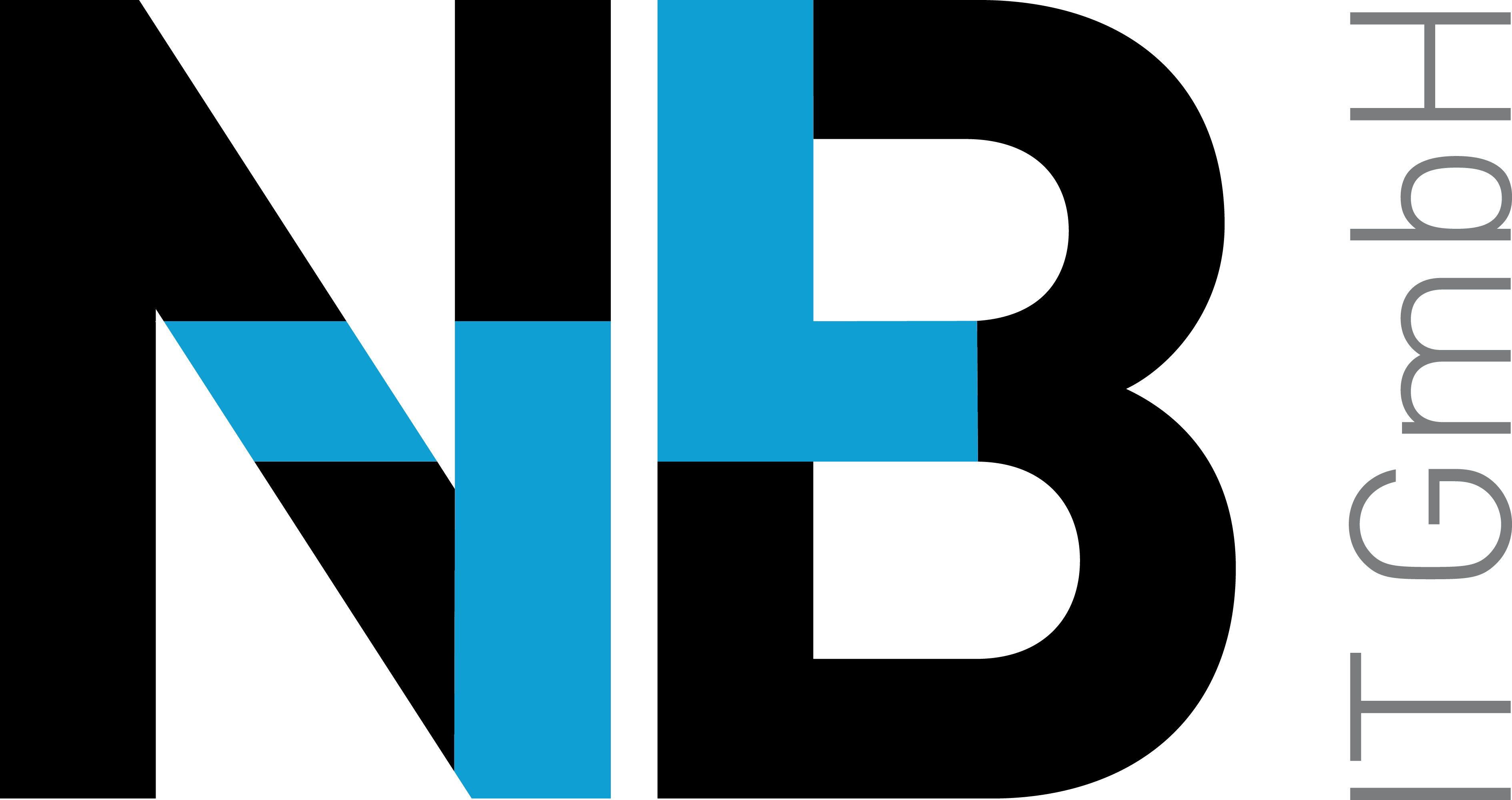 N+B IT GmbH